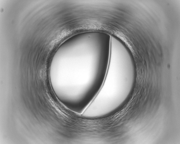 X0000088200677200705151313