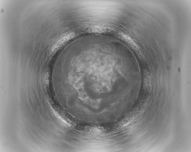 X0000088200683200705151313