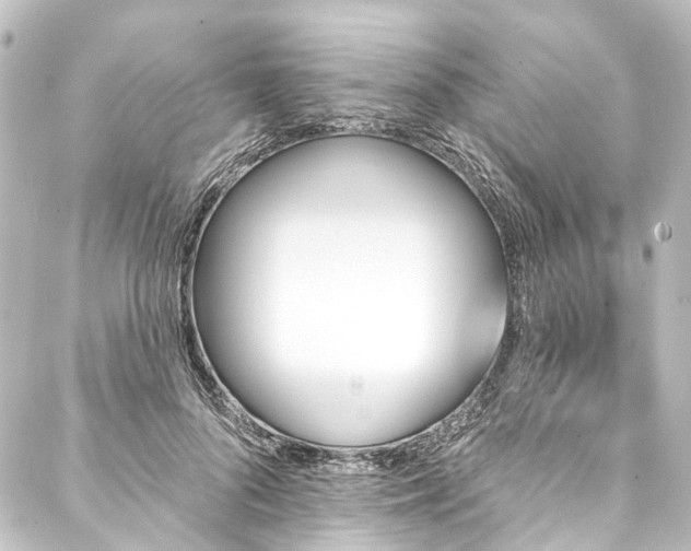 X0000088200696200705151313