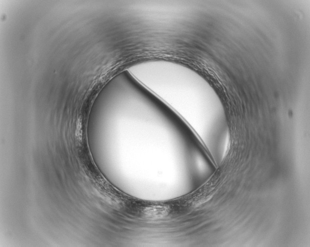 X0000088200700200705151313