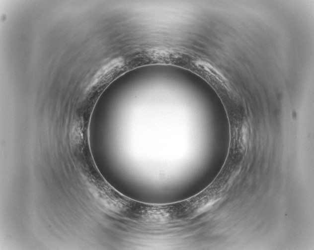 X0000088200702200705151313