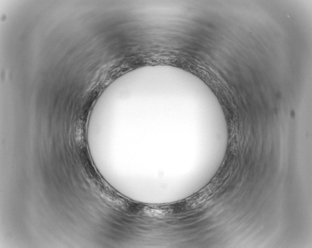 X0000088200706200705151313