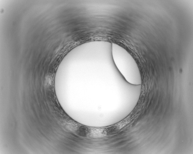 X0000088200709200705151313