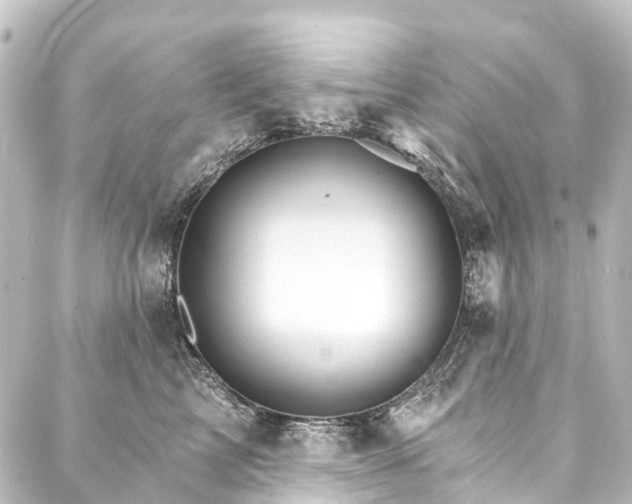 X0000088200713200705151313