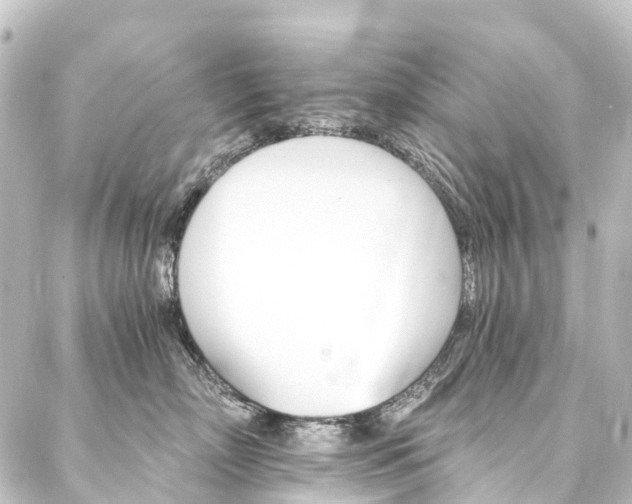 X0000088200718200705151313