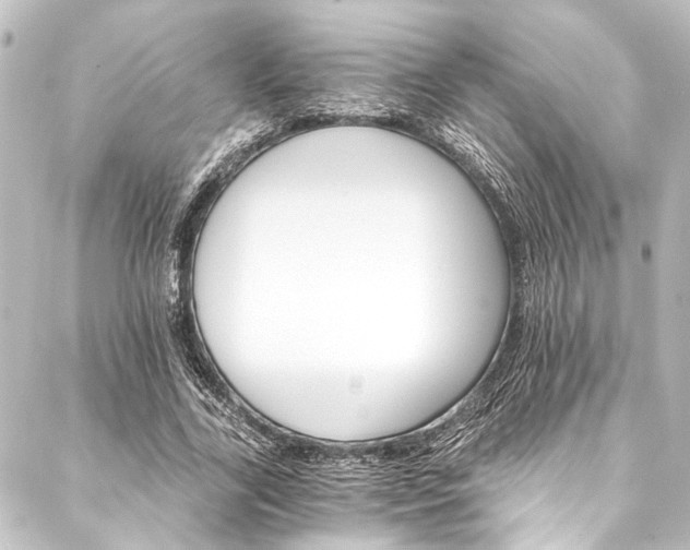 X0000088200731200705151312