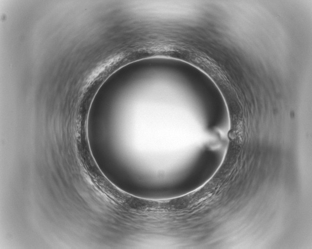 X0000088200732200705151312