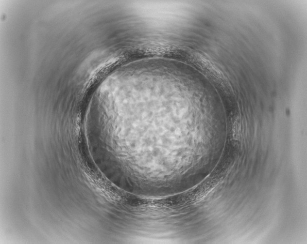 X0000088200737200705151312