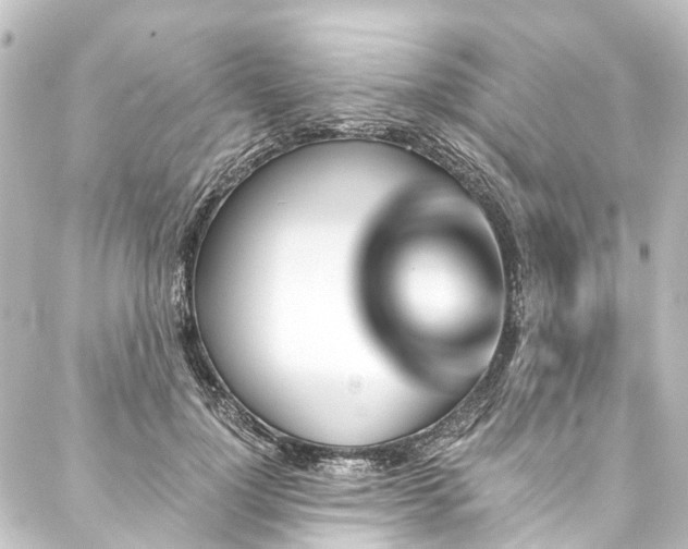 X0000088200748200705151312