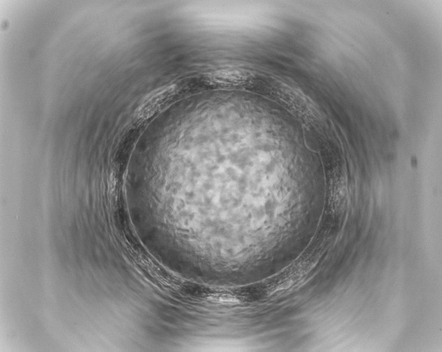 X0000088200749200705151312