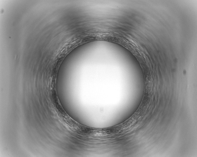 X0000088200750200705151312