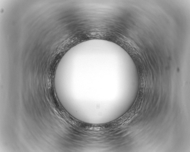 X0000088200751200705151312