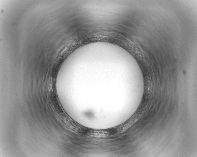 X0000088200758200705151312