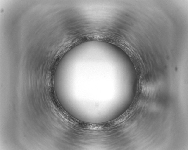 X0000088200760200705151312