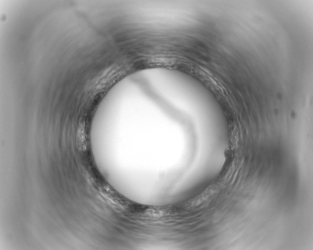 X0000088200764200705151312