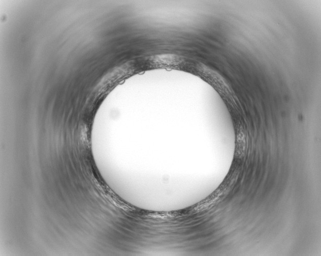X0000088200765200705151312
