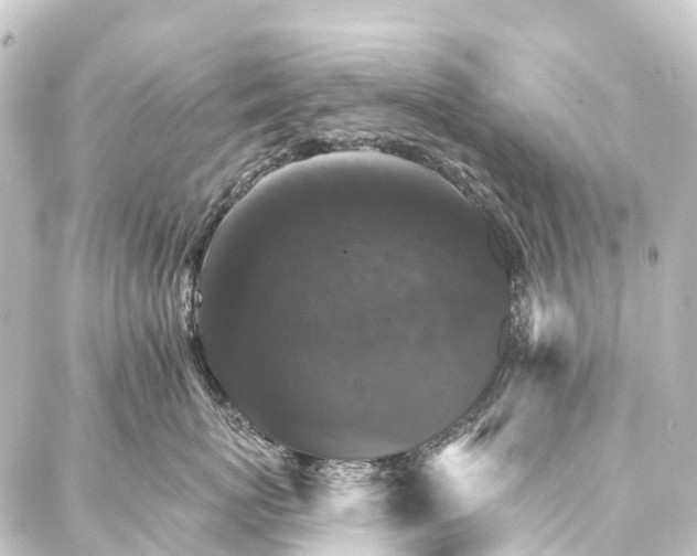 X0000088200767200705151313