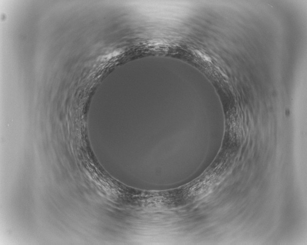 X0000088200769200705151312