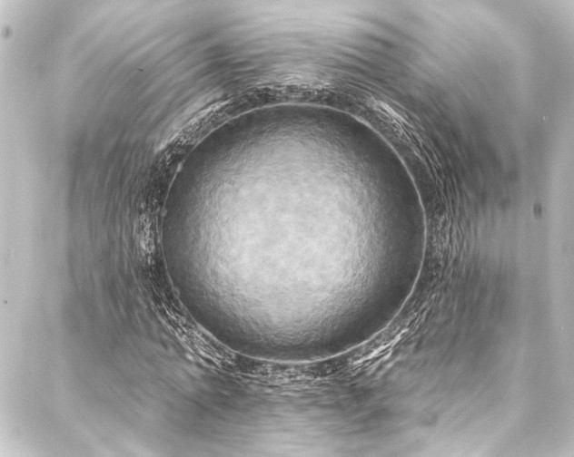 X0000088200774200705151312