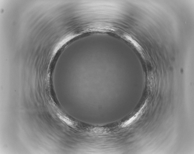 X0000088200779200705151312