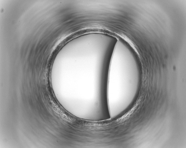 X0000088200783200705151312