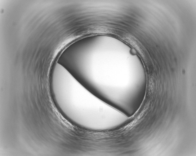 X0000088200787200705151311