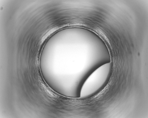 X0000088200789200705151311