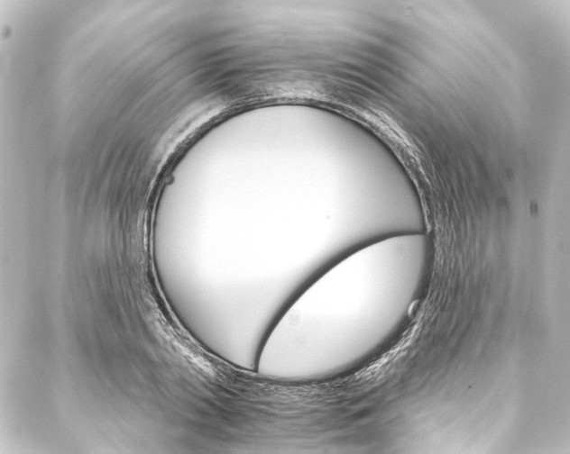 X0000088200790200705151311