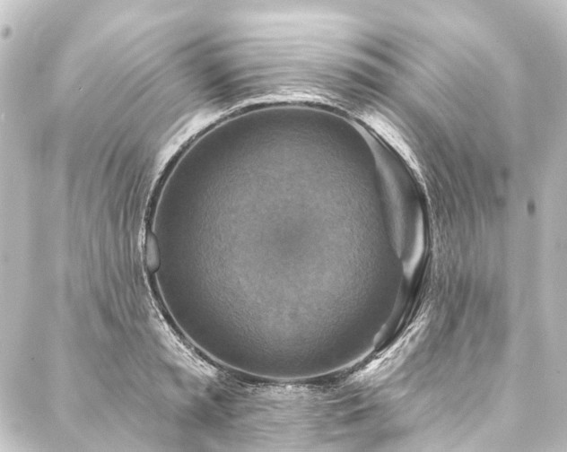 X0000088200797200705151311