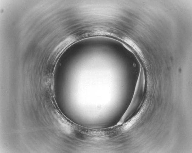 X0000088200801200705151311