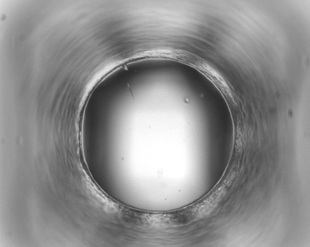 X0000088200808200705151311