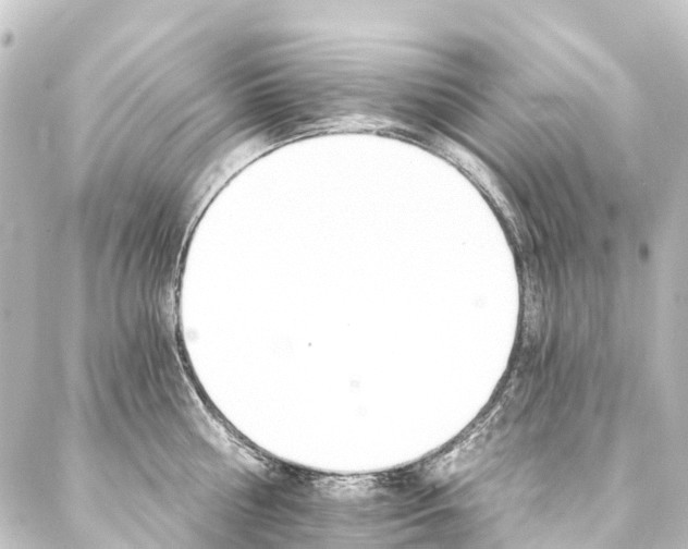 X0000088200810200705151311