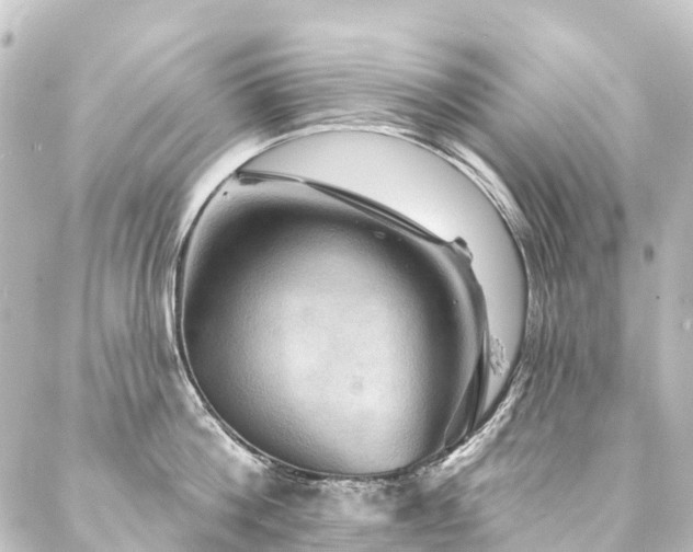 X0000088200812200705151311