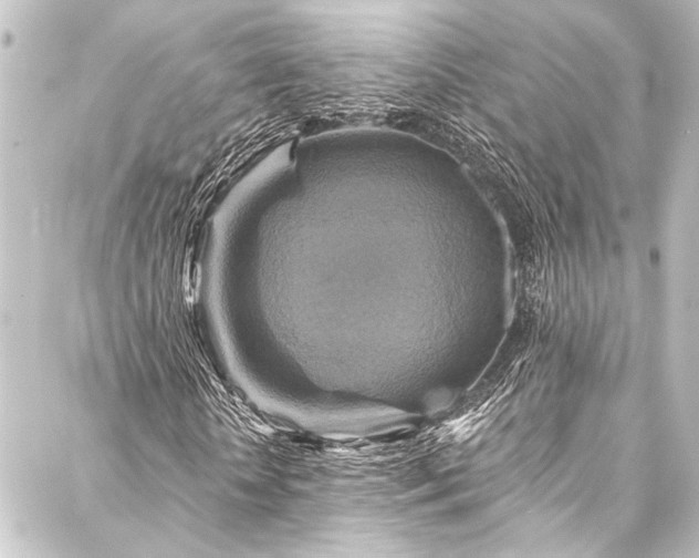 X0000088200818200705151310