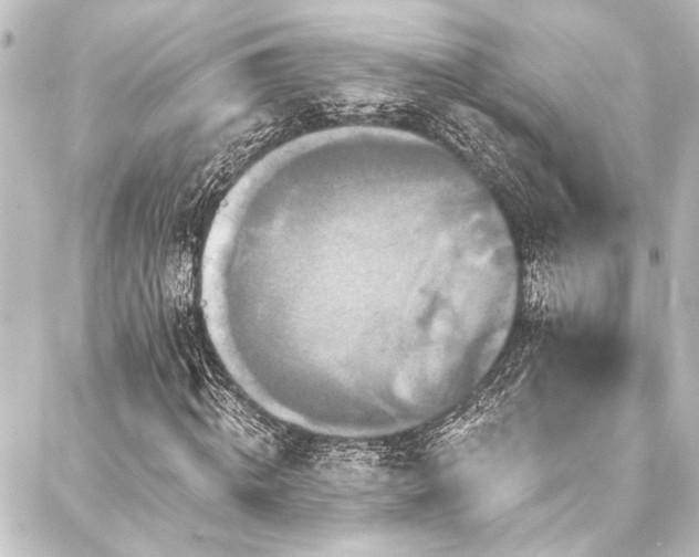 X0000088200820200705151310