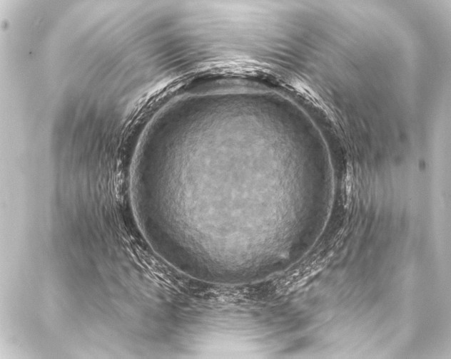X0000088200822200705151310