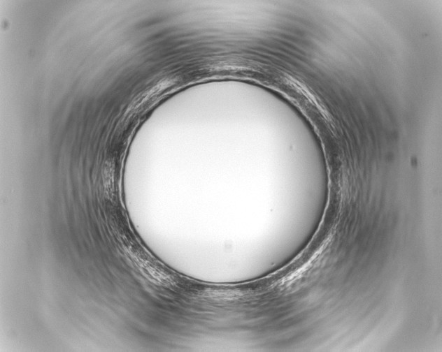 X0000088200825200705151310
