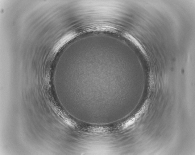 X0000088200826200705151310