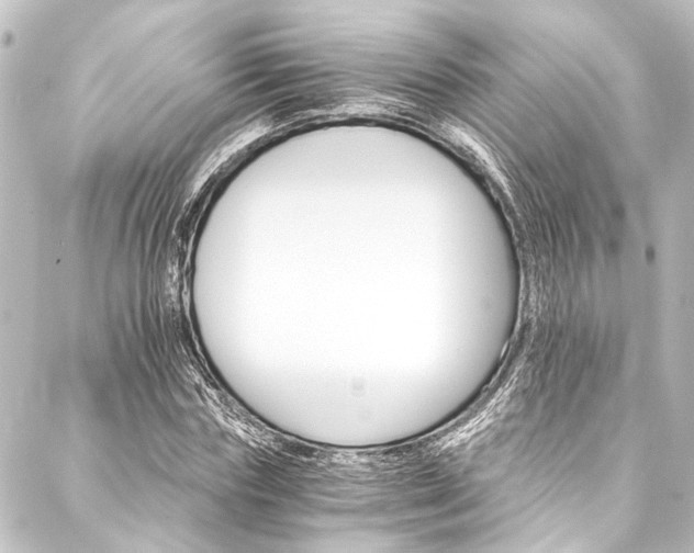 X0000088200827200705151310