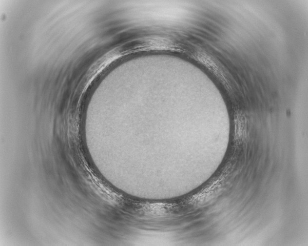 X0000088200828200705151310