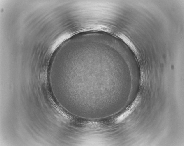 X0000088200834200705151310