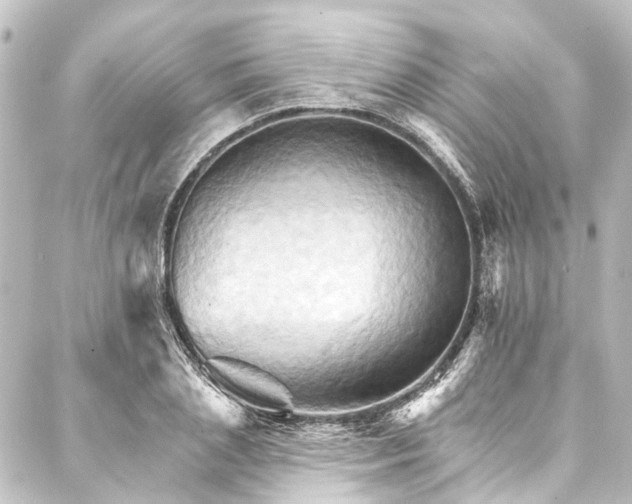 X0000088200837200705151311