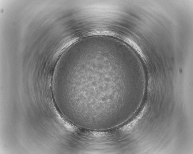 X0000088200849200705151311