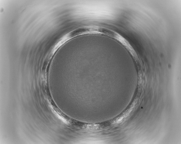 X0000088200858200705151311