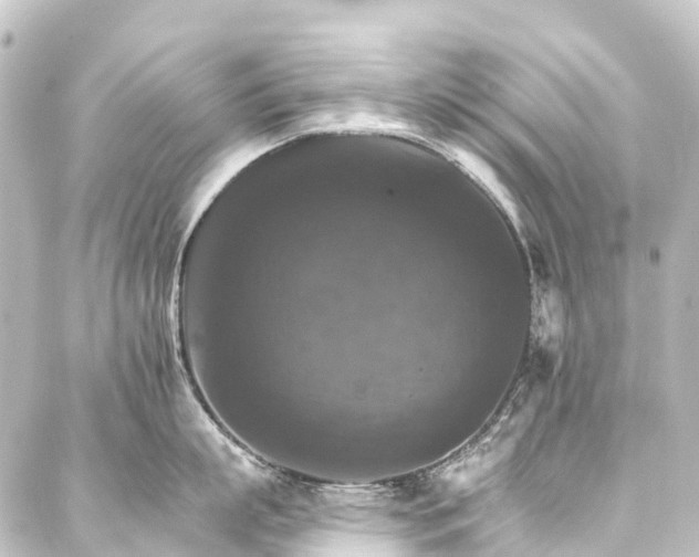 X0000088200863200705151311