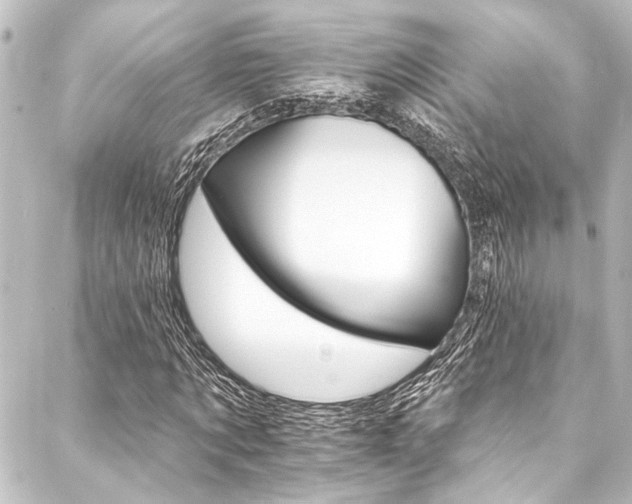 X0000088200869200705151310
