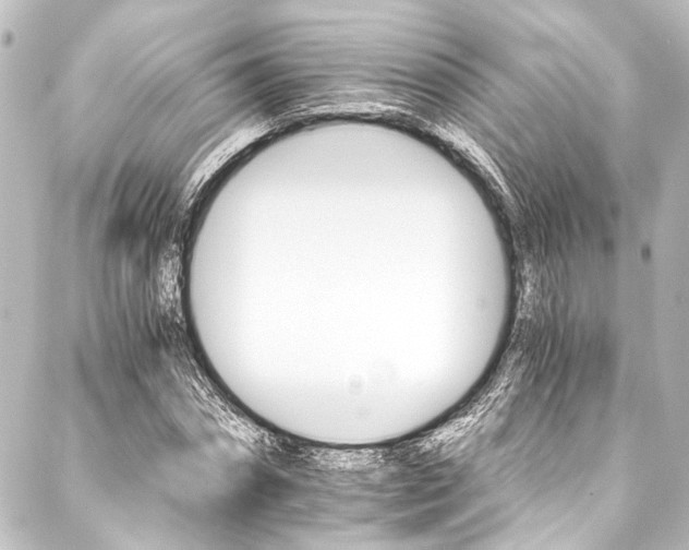X0000088200874200705151310