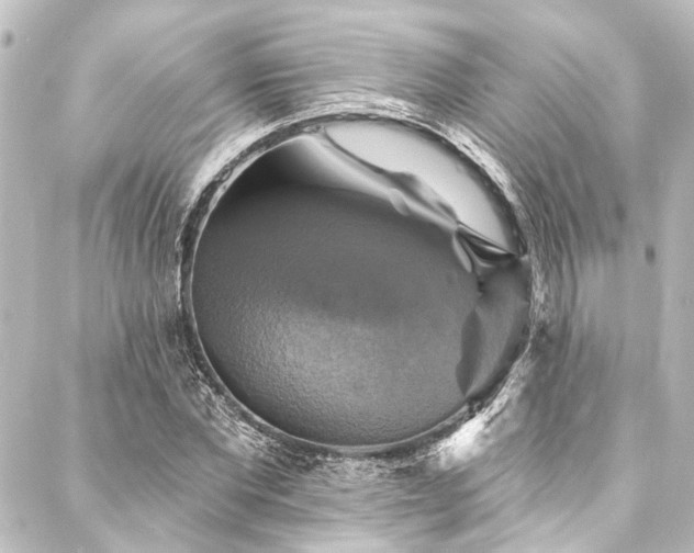 X0000088200877200705151310