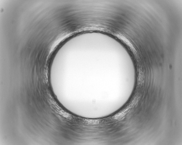 X0000088200878200705151310