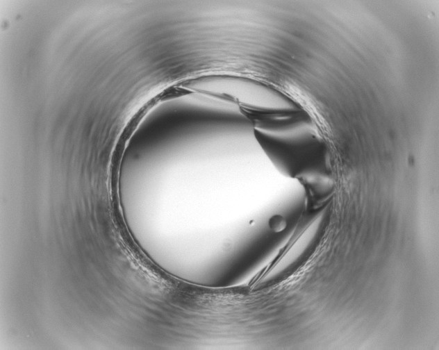 X0000088200884200705151310